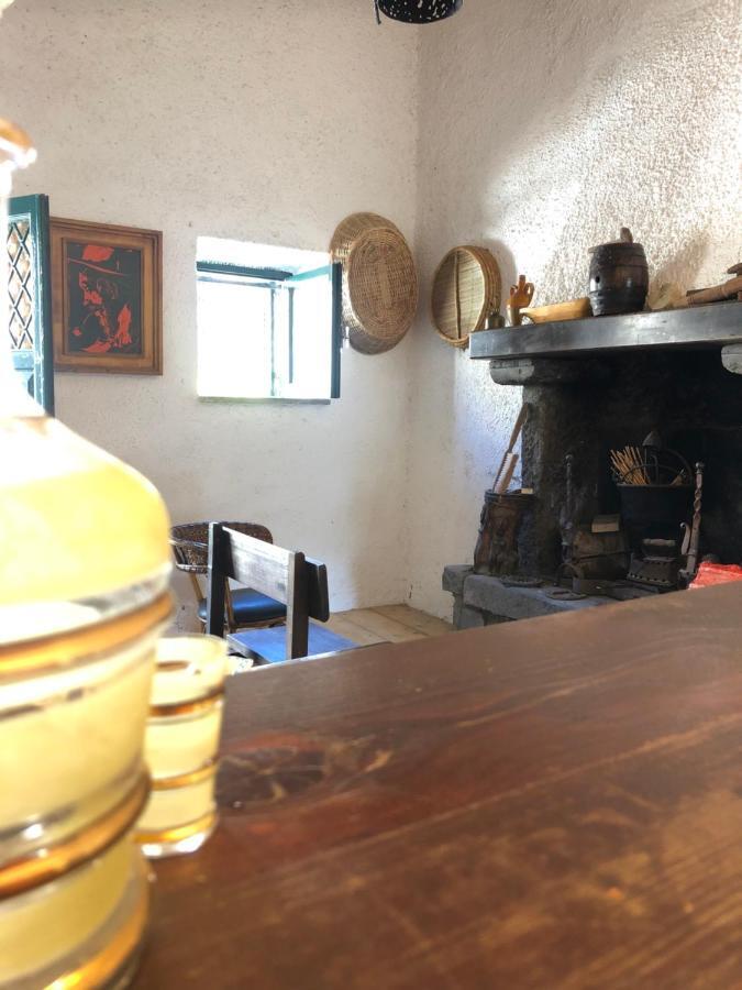Piansano Torretta Del Sordo Lago Di Bolsenaヴィラ エクステリア 写真
